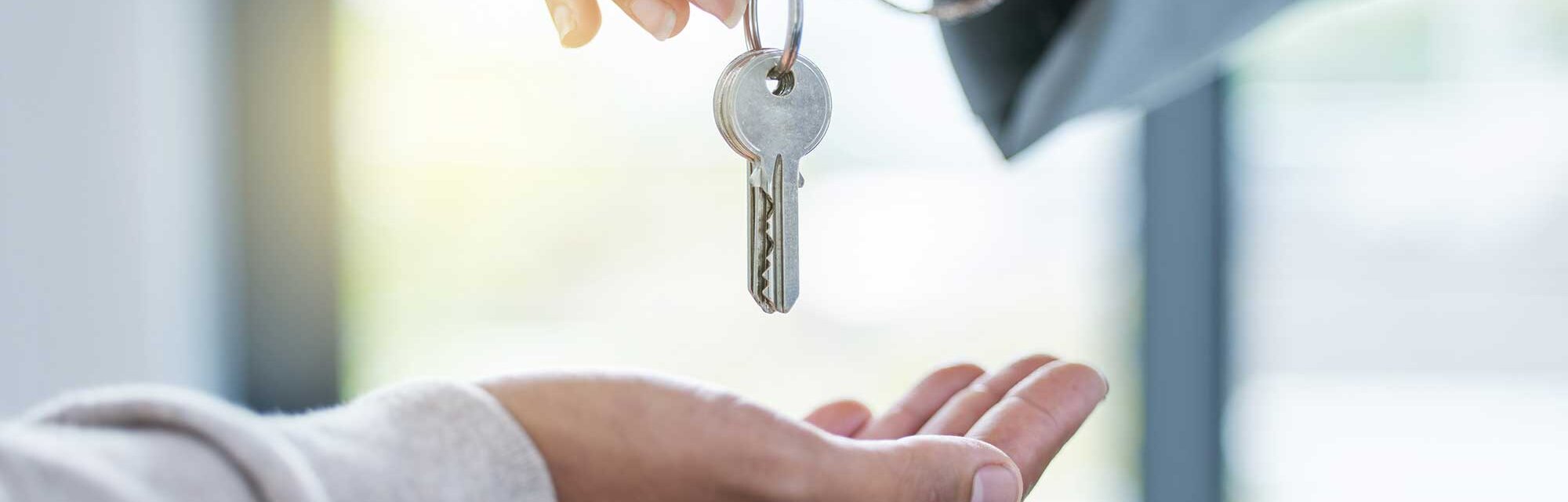 Erstvermietung - Galerie